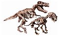 Archeogiocando -T-rex / Smilodon 2in1 clementoni