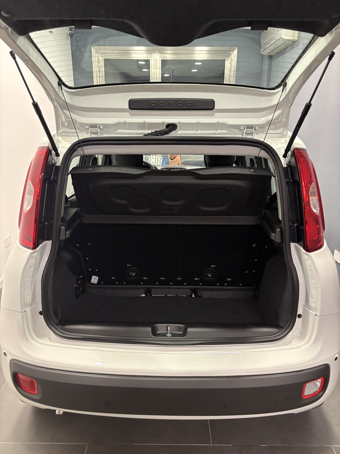 Fiat Pandina ICON Elettrica / Benzina