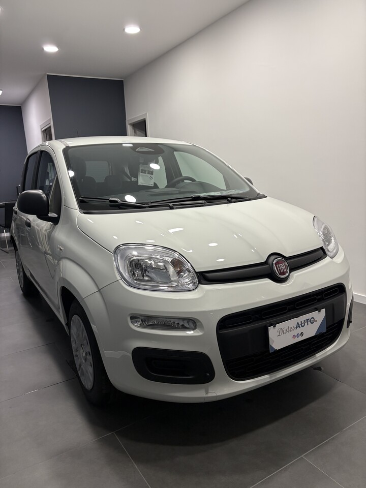 Fiat Pandina ICON Elettrica / Benzina