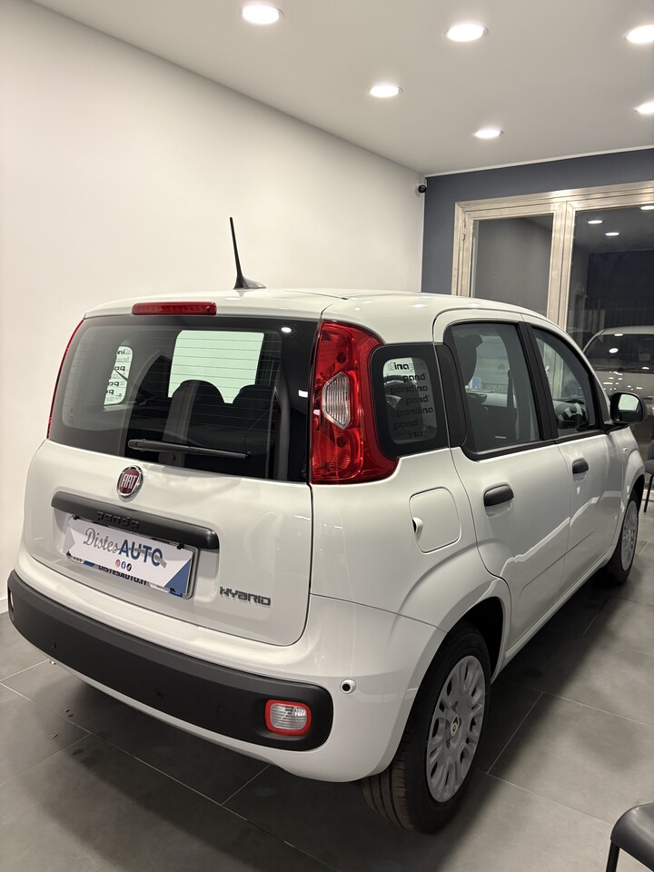 Fiat Pandina ICON Elettrica / Benzina
