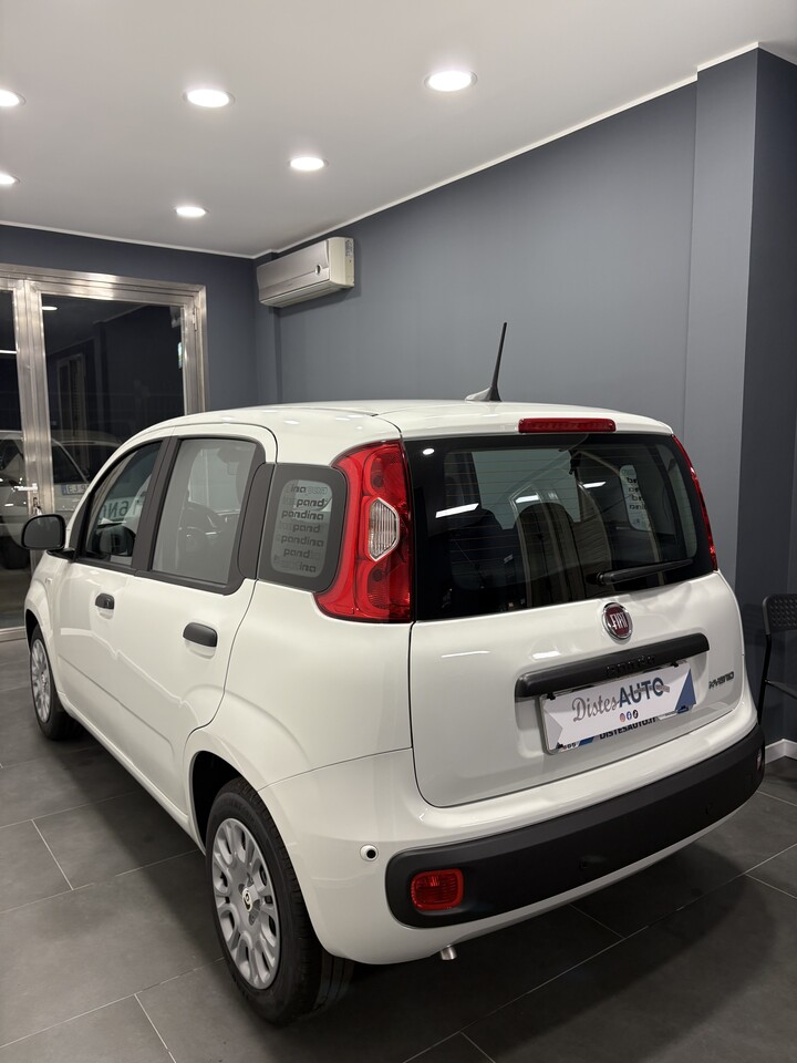 Fiat Pandina ICON Elettrica / Benzina