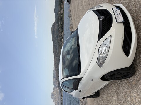 Lancia Ypsilon ELEFANTINO Benzina