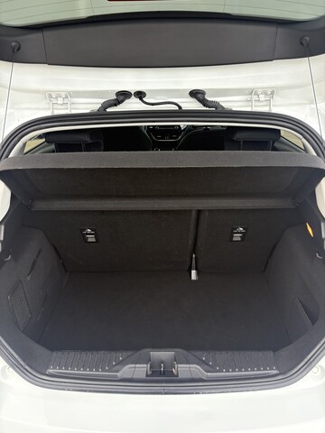 Ford Fiesta BUSINESS Diesel