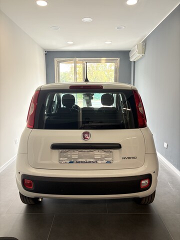Fiat Panda ICON Elettrica / Benzina