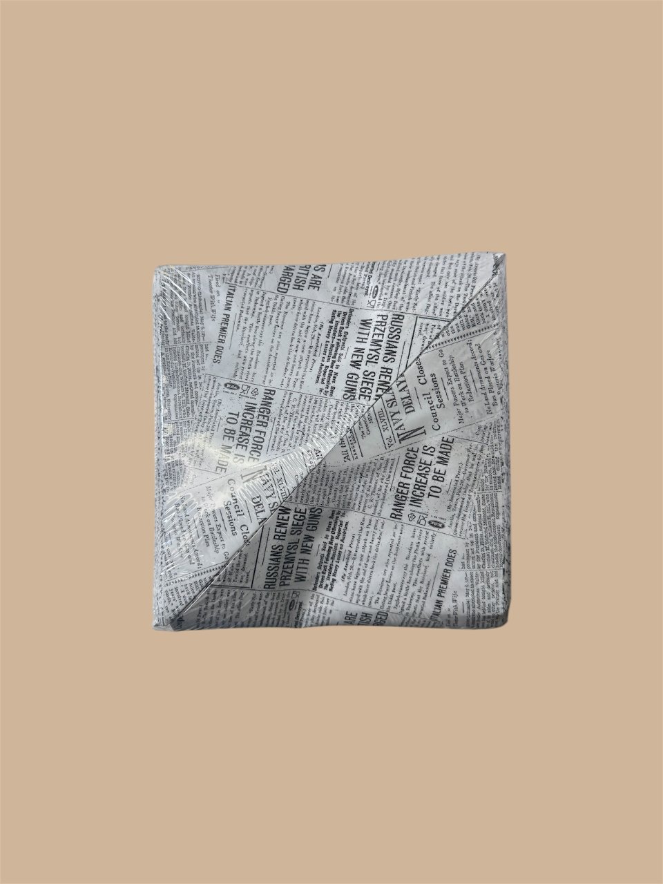 CONI PER FRITTI  29,5X21, 250 PZ Leone Journal
