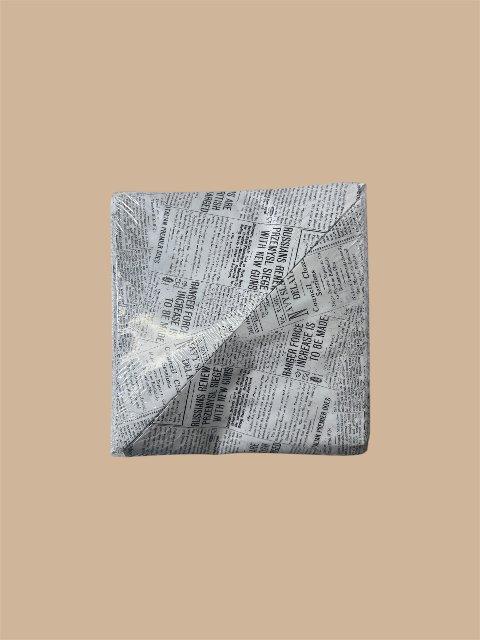 CONI PER FRITTI  29,5X21, 250 PZ Leone Journal