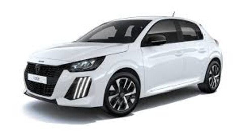 CGS RentCar noleggio auto, minivan 9 posti, furgoni