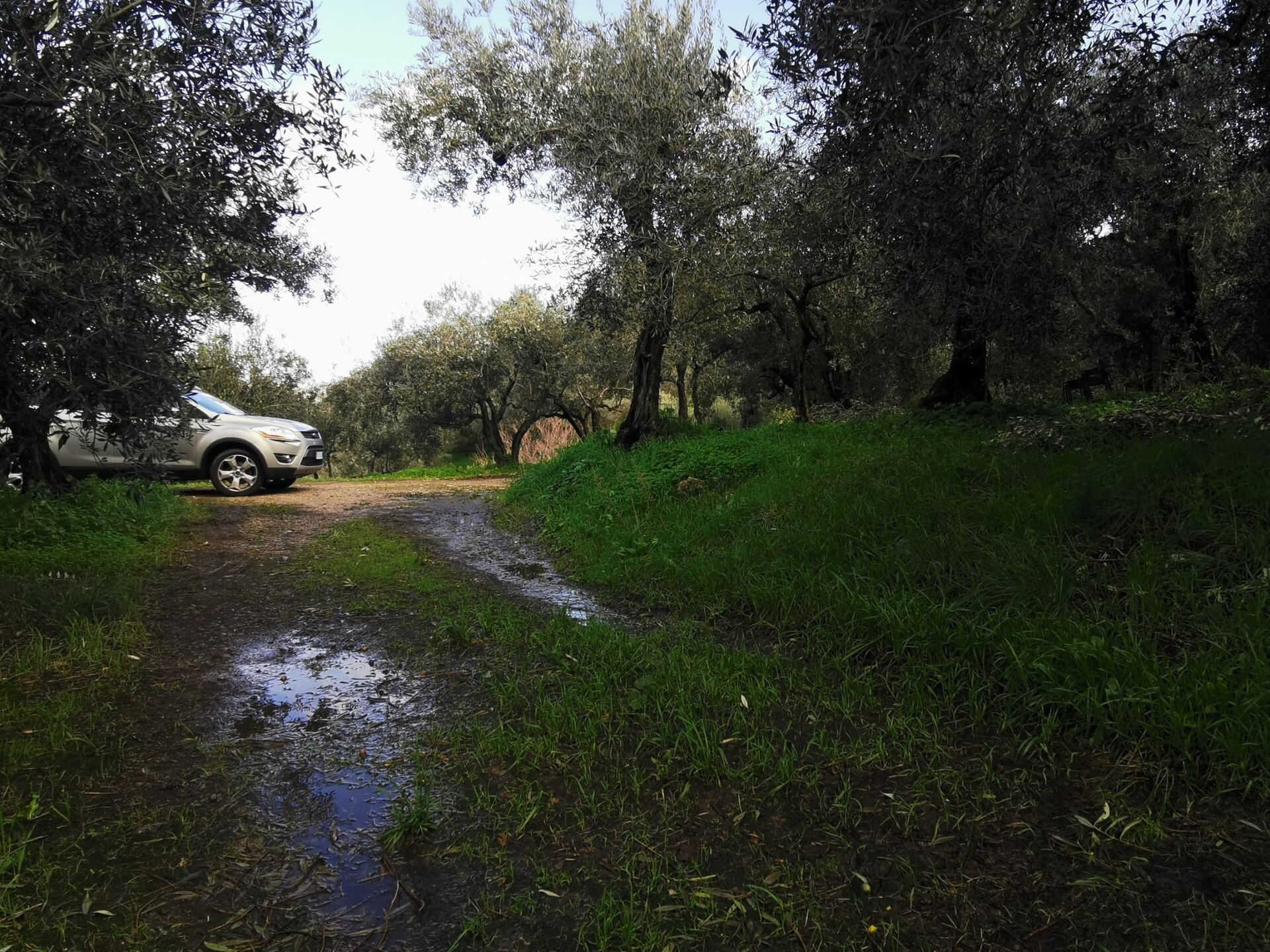 Terreno Agricolo in Vendita a Altofonte Periferia (Palermo)