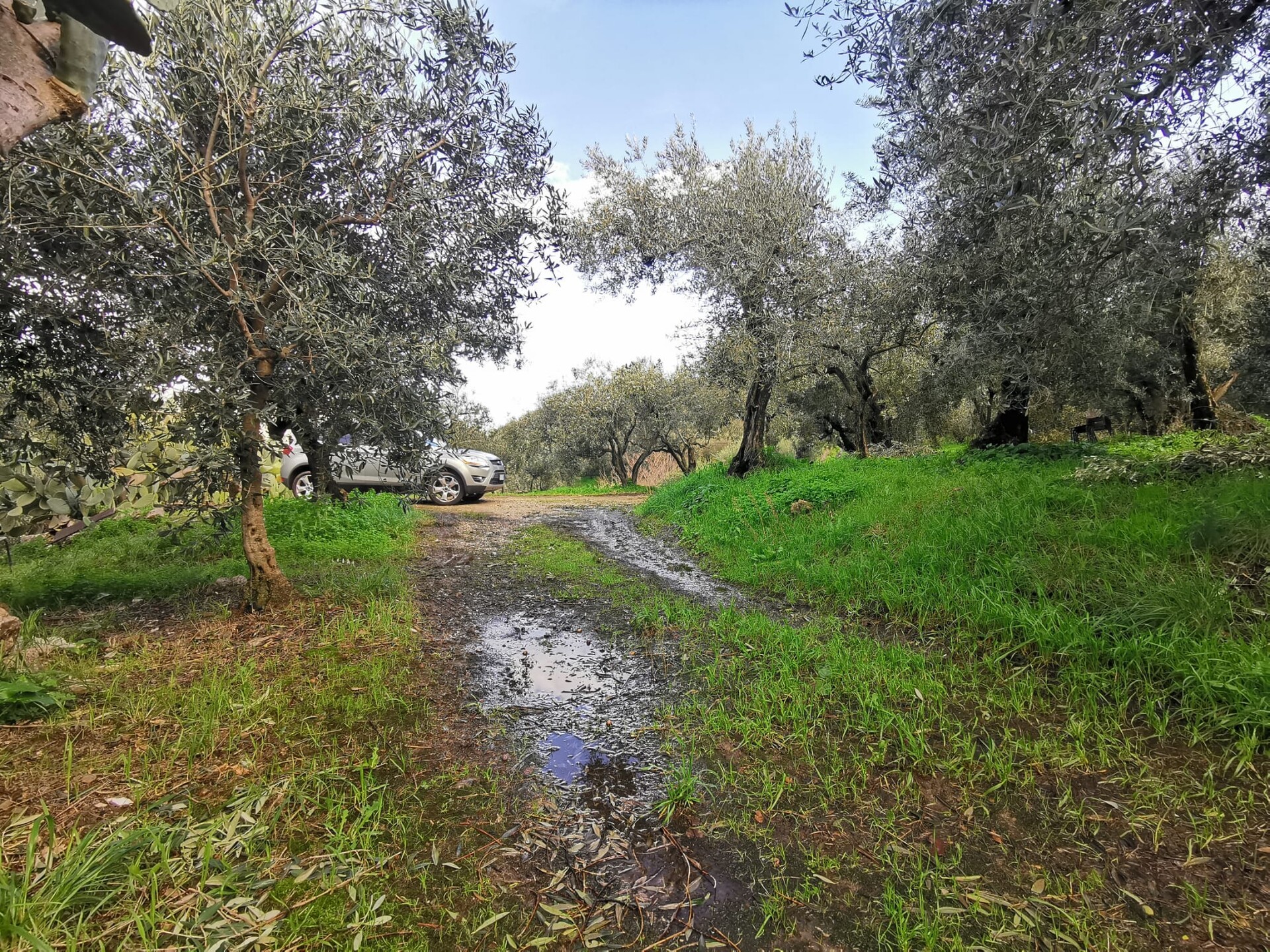 Terreno Agricolo in Vendita a Altofonte Periferia (Palermo)