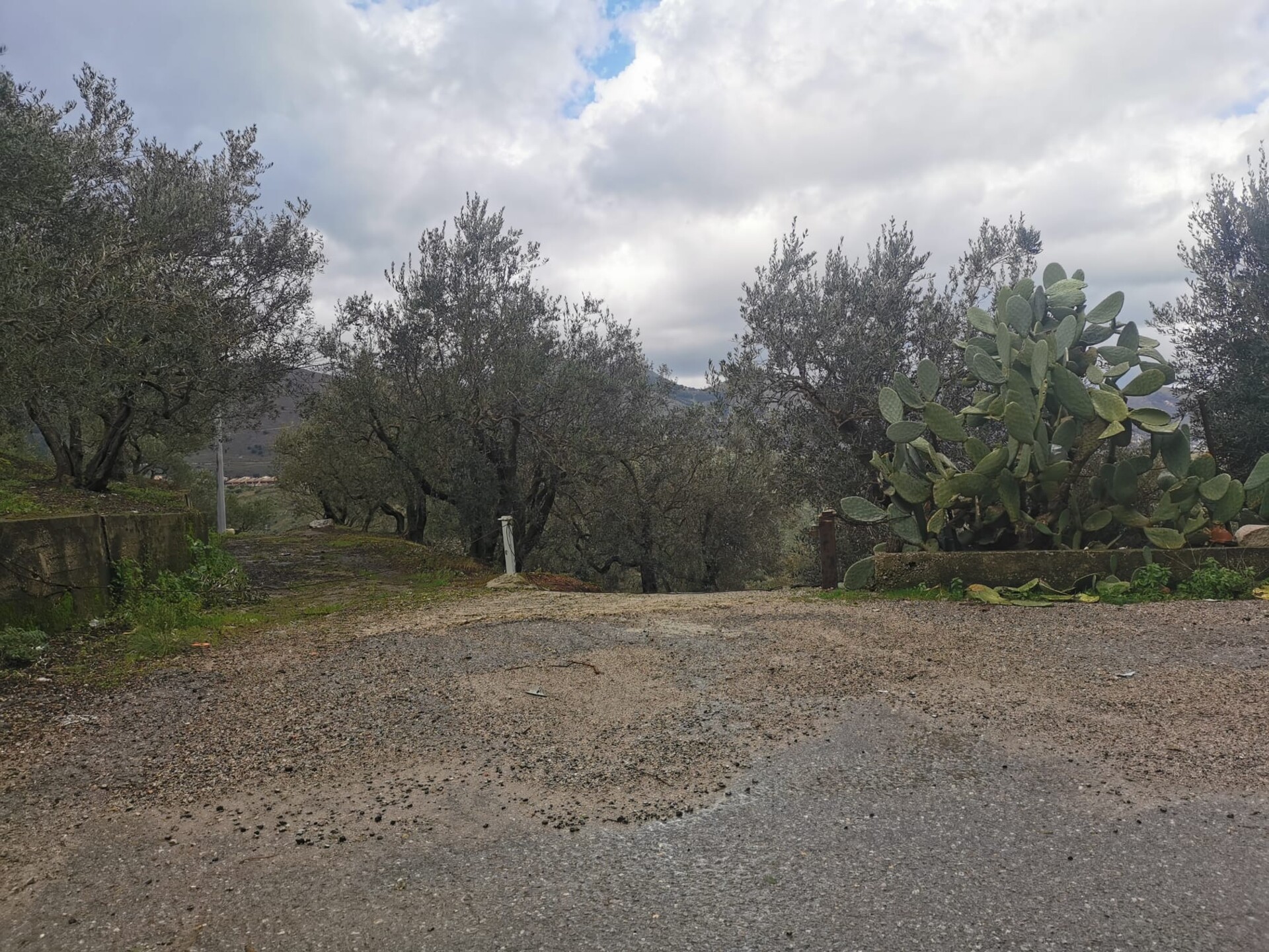Terreno Agricolo in Vendita a Altofonte Periferia (Palermo)