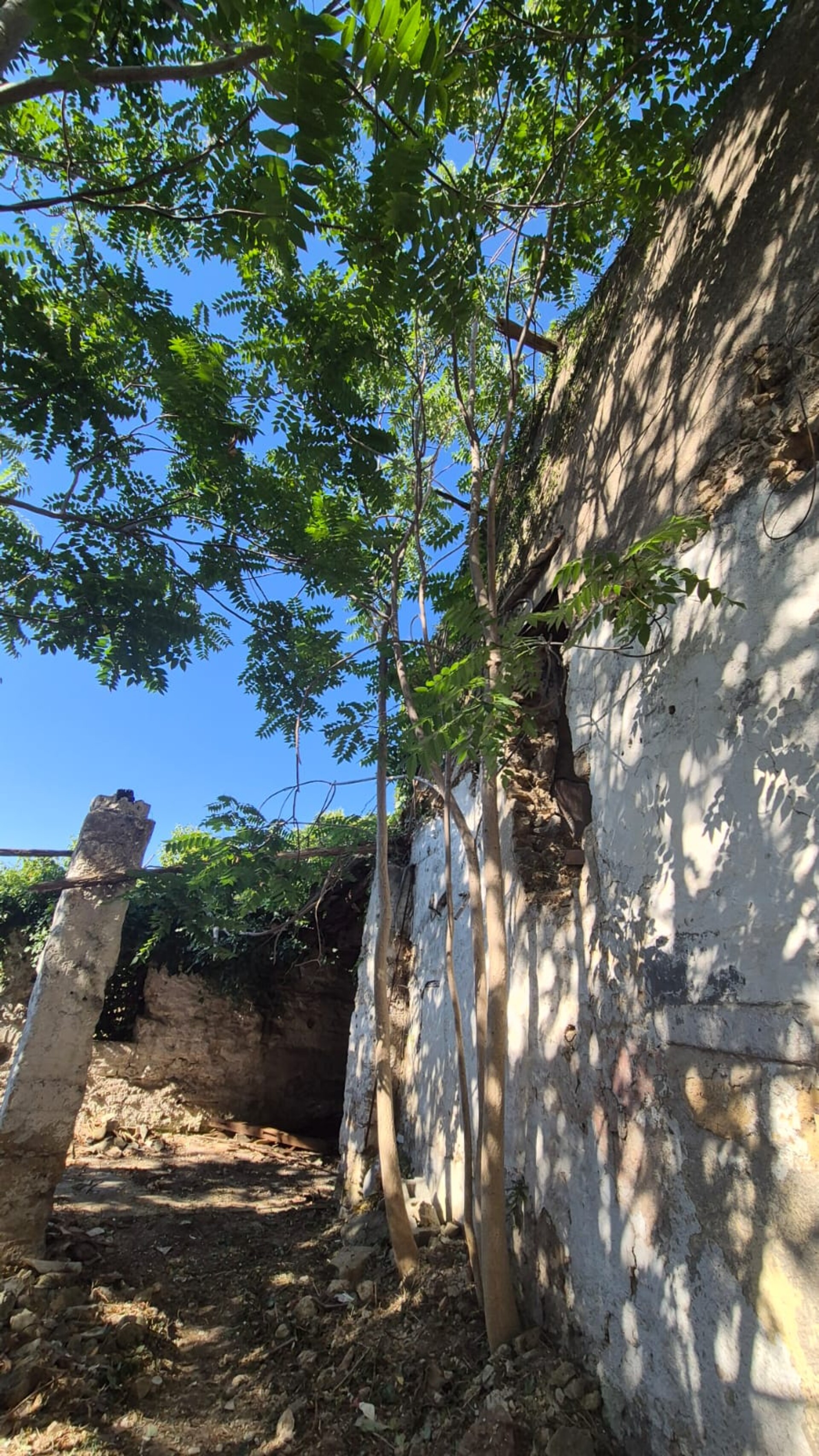 Rudere in Vendita a Palermo Calatafimi Alta