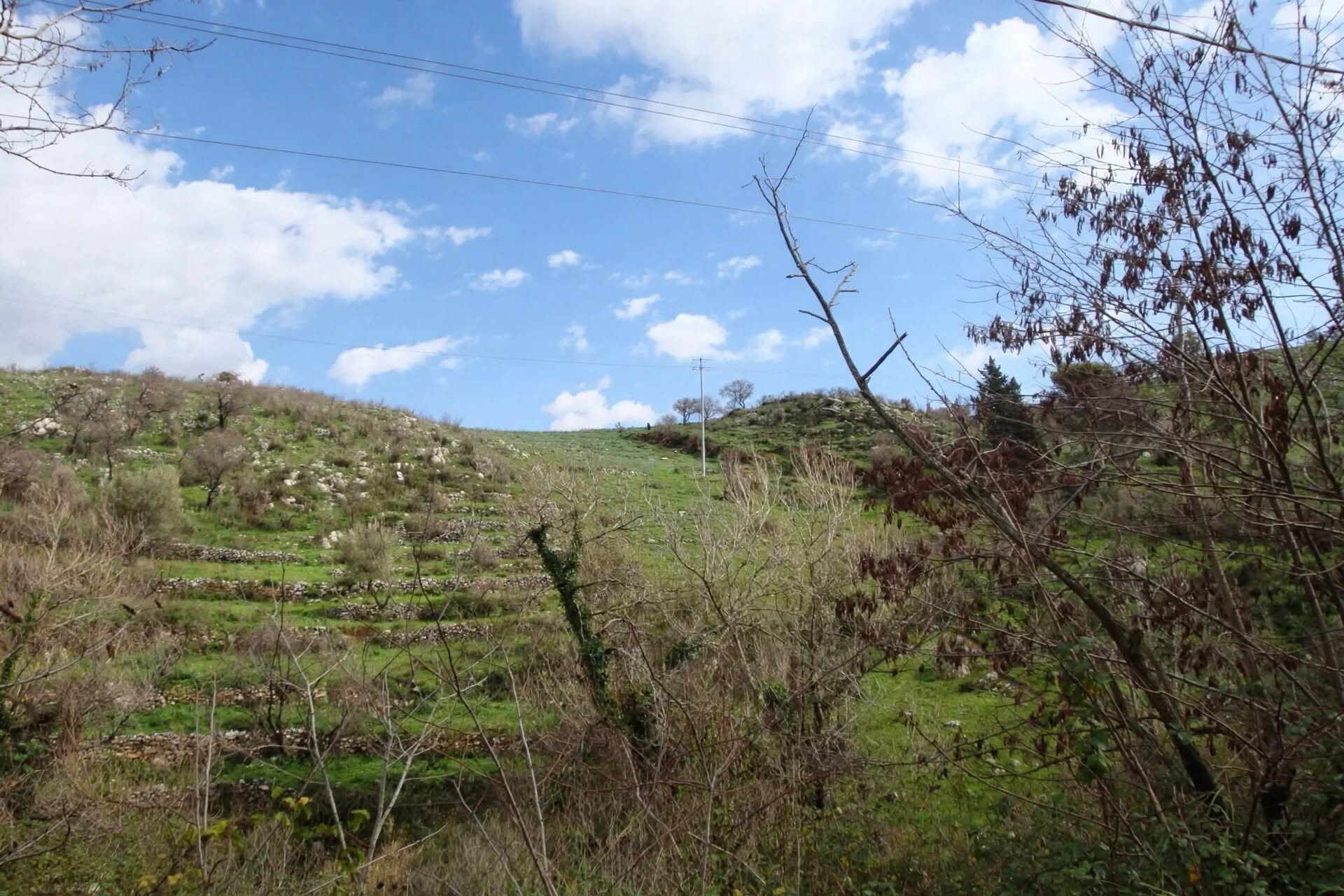 Terreno Edificabile in Vendita a Monreale Sagana (Palermo)