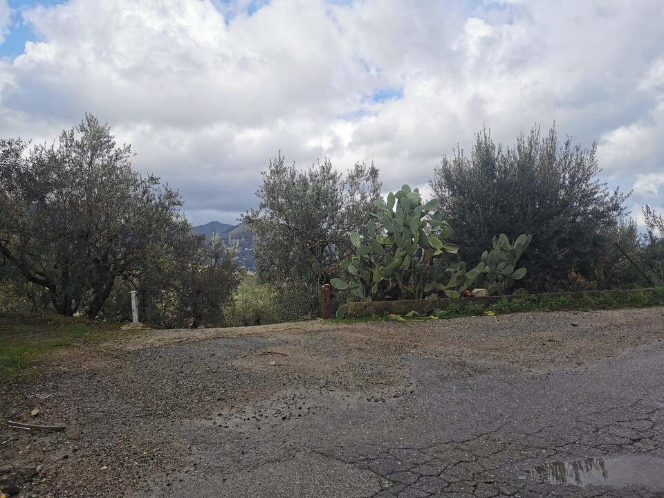 Terreno Agricolo in Vendita a Altofonte (Palermo)