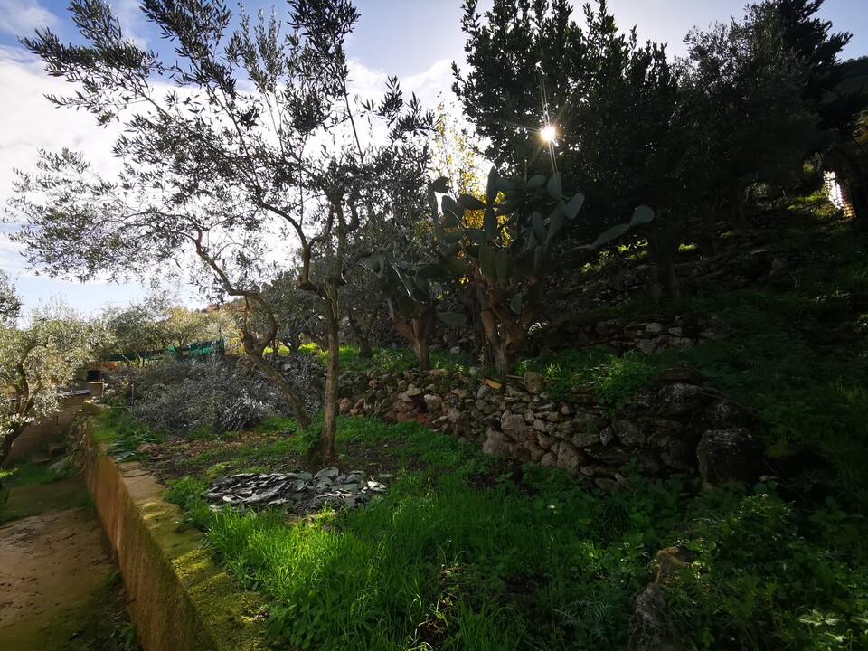 Casa singola in Vendita a Altofonte (Palermo)