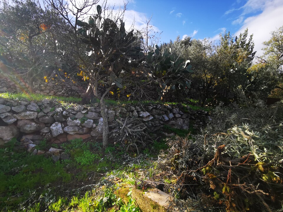 Casa singola in Vendita a Altofonte (Palermo)