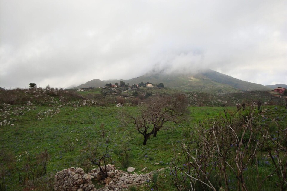 Terreno Edificabile in Vendita a Monreale Sagana (Palermo)