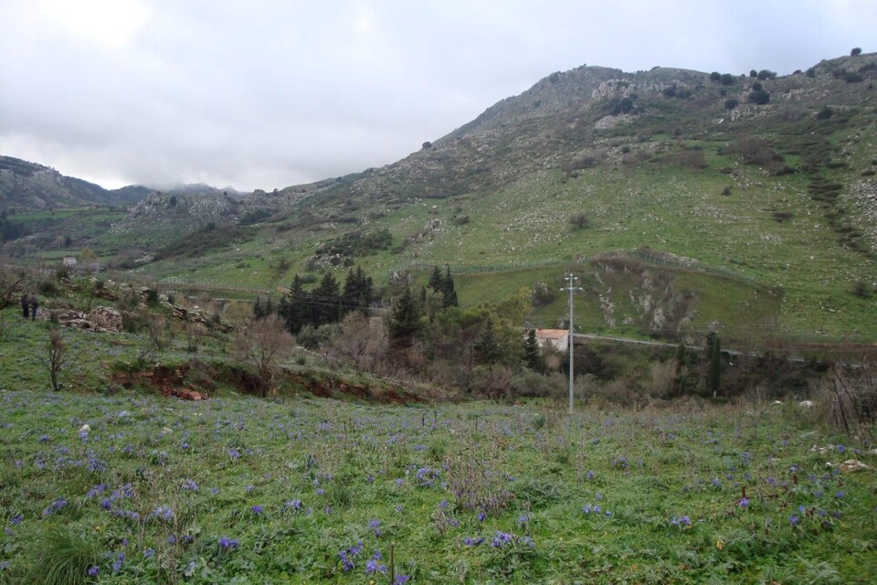 Terreno Edificabile in Vendita a Monreale Sagana (Palermo)