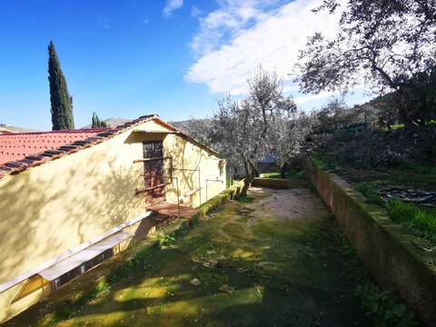 Casa singola in Vendita a Altofonte (Palermo)