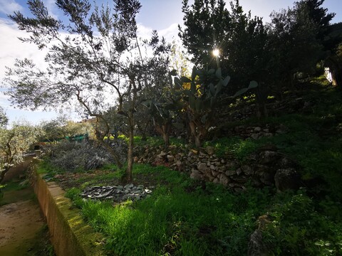 Casa singola in Vendita a Altofonte (Palermo)