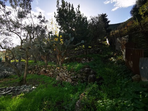Casa singola in Vendita a Altofonte (Palermo)