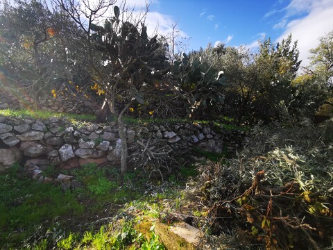 Casa singola in Vendita a Altofonte (Palermo)