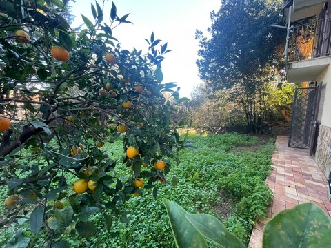 Porzione di bifamiliare in Vendita a Palermo Villagrazia/olio di lino