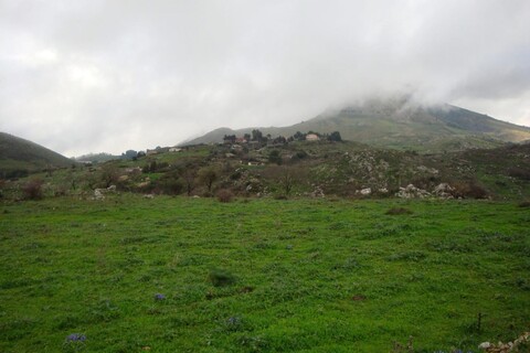 Terreno Edificabile in Vendita a Monreale Sagana (Palermo)