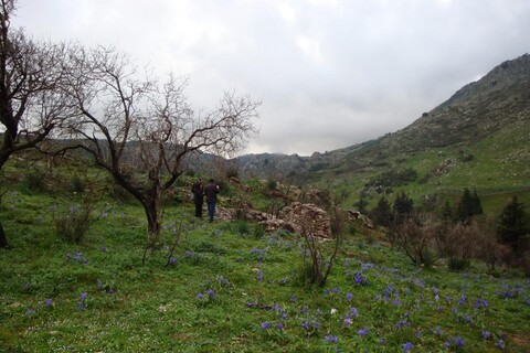 Terreno Edificabile in Vendita a Monreale Sagana (Palermo)