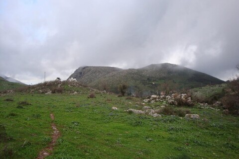 Terreno Edificabile in Vendita a Monreale Sagana (Palermo)