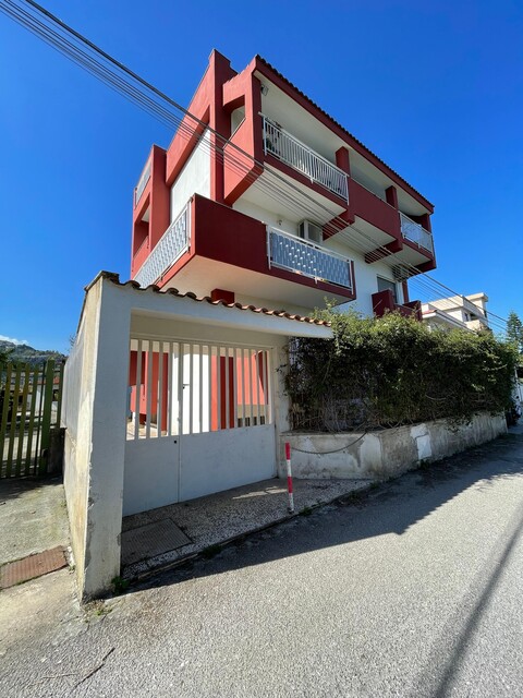 Pentalocale in Affitto a Palermo