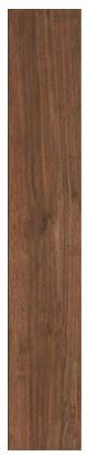 Gres Porcellanato 15x90 woodcomfort faggio R3TT Ragno Woodcomfort