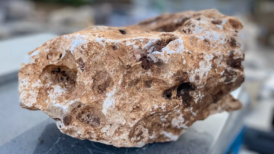 Pietra naturale cisam pn