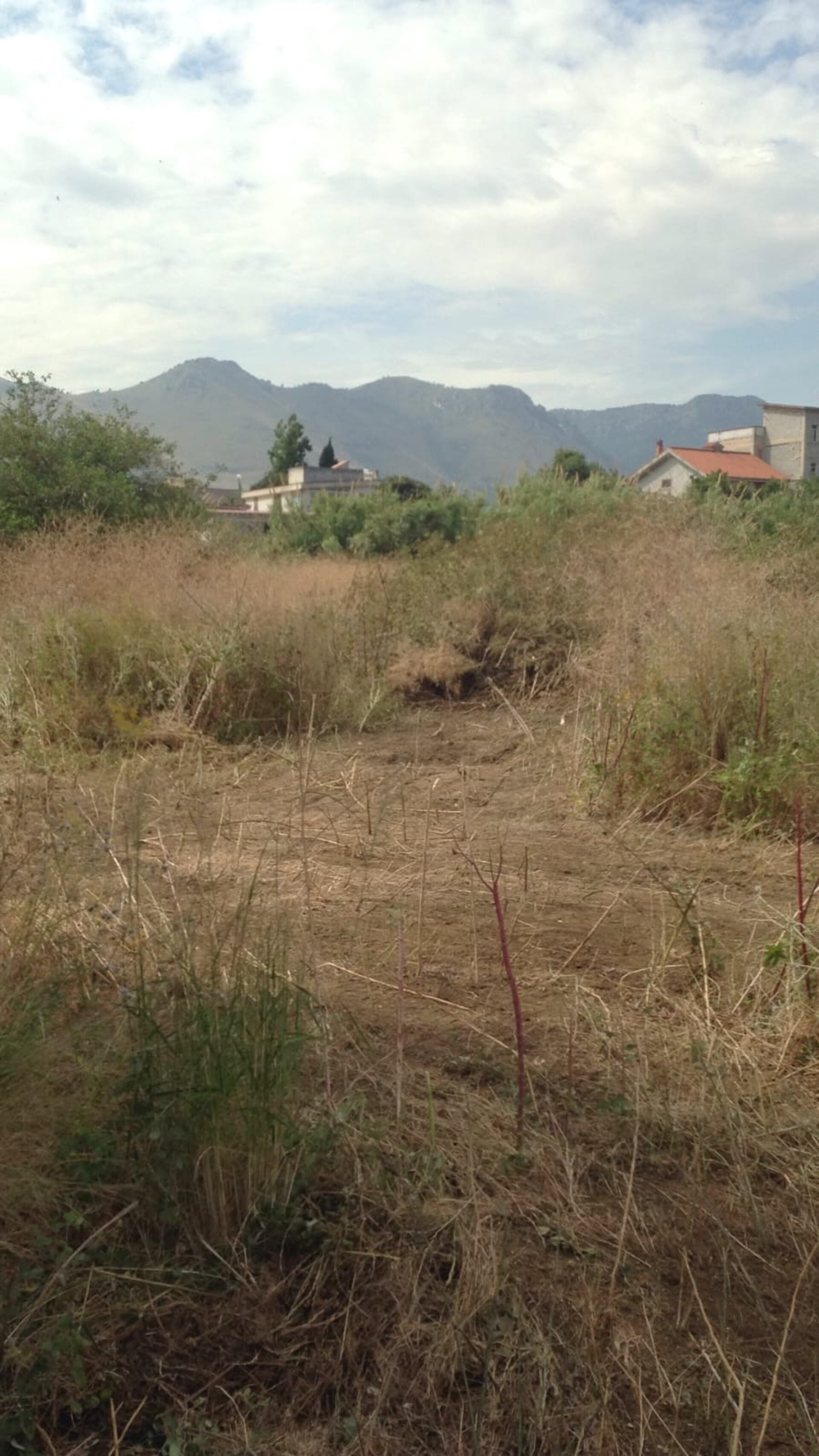 Terreno Agricolo in Vendita a Palermo pagliarelli