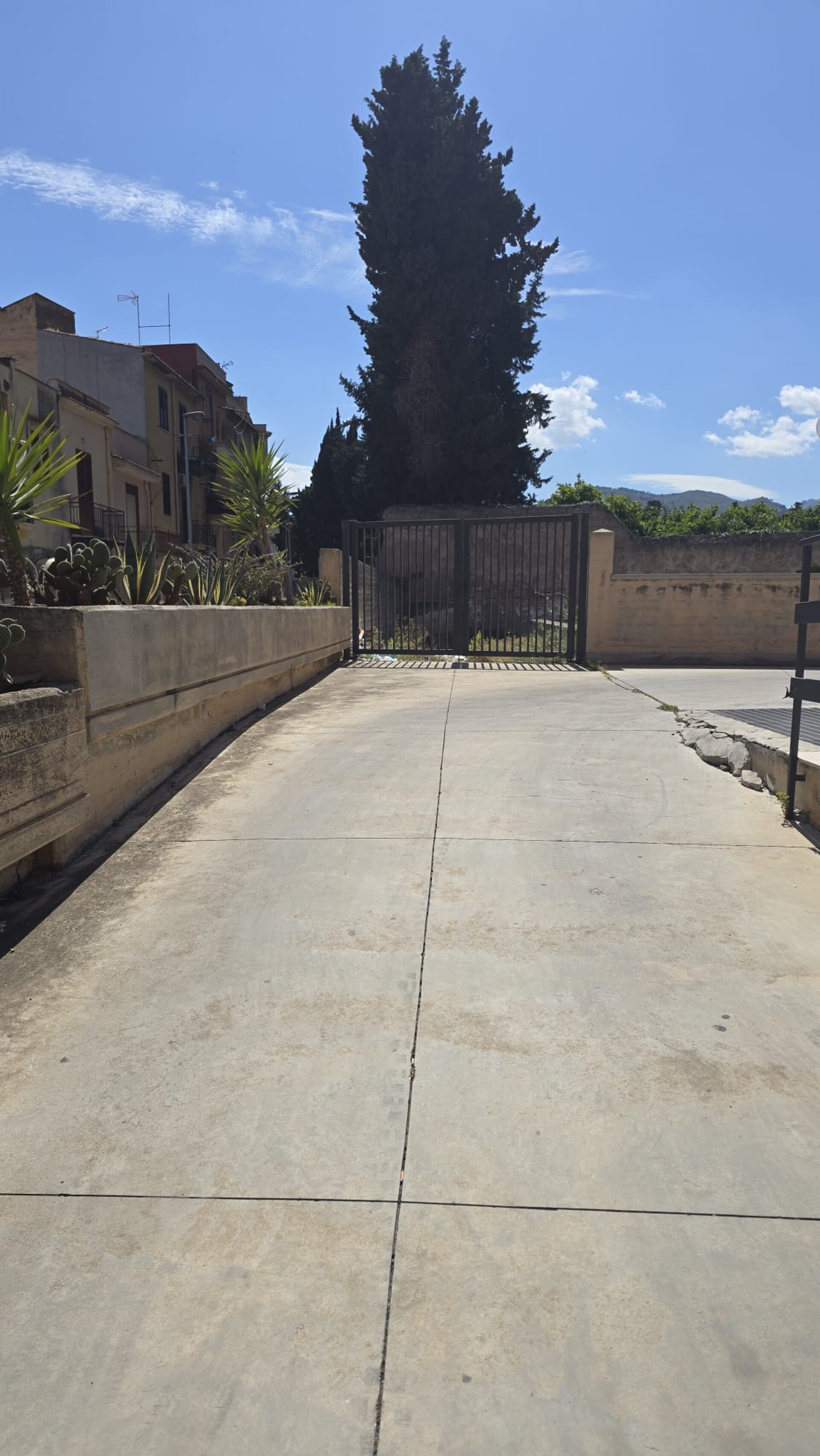 Terreno Non edificabile in Vendita in provincia di Palermo