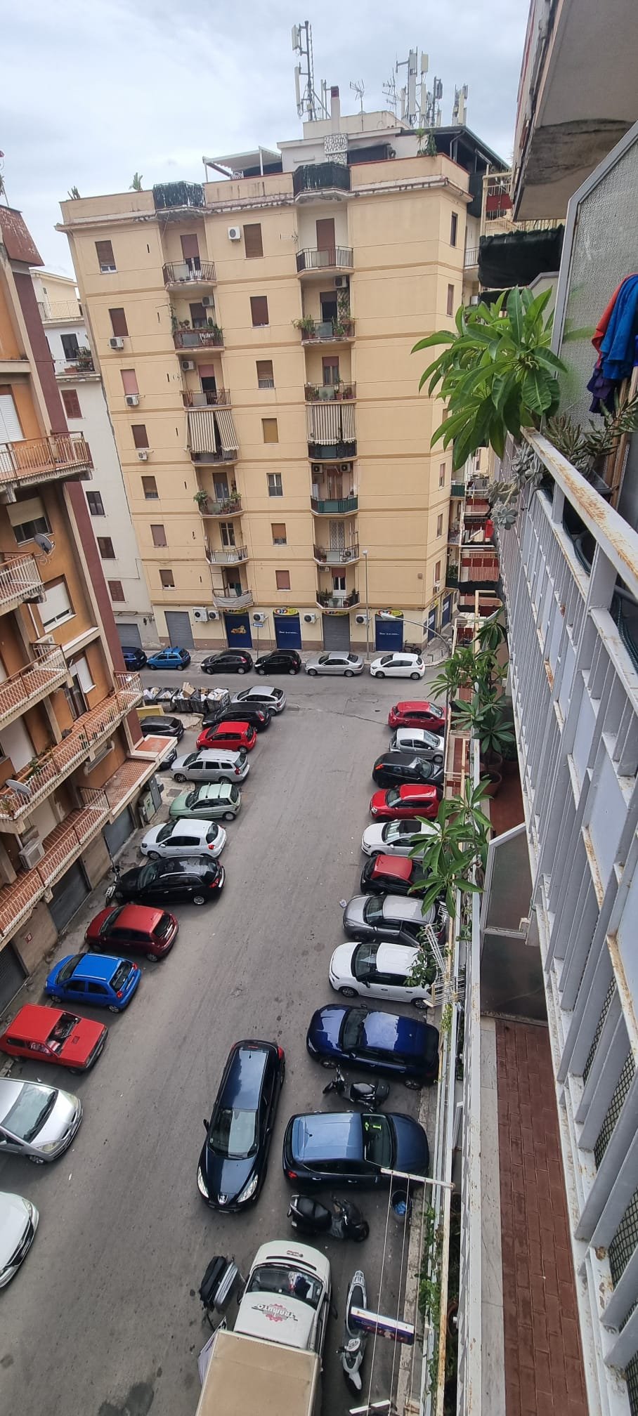 Appartamento in Affitto a Palermo NOCE