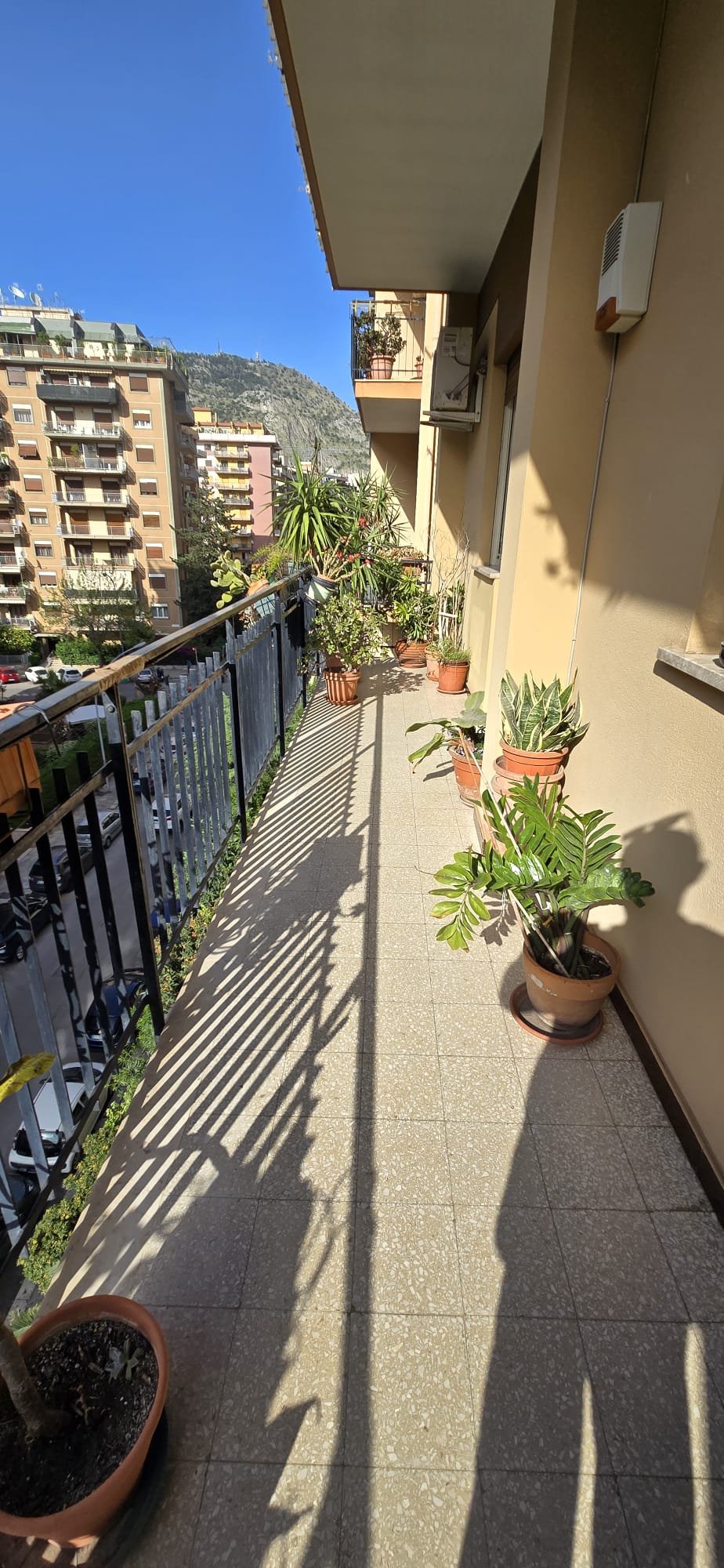 Appartamento in Affitto a Palermo Restivo