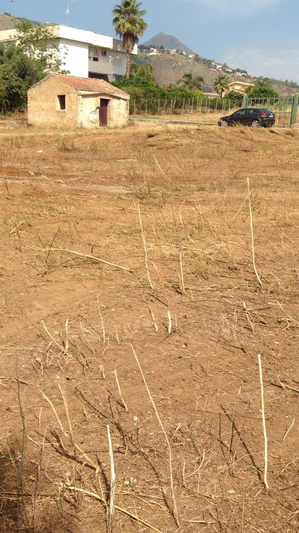 Terreno Agricolo in Vendita a Palermo pagliarelli