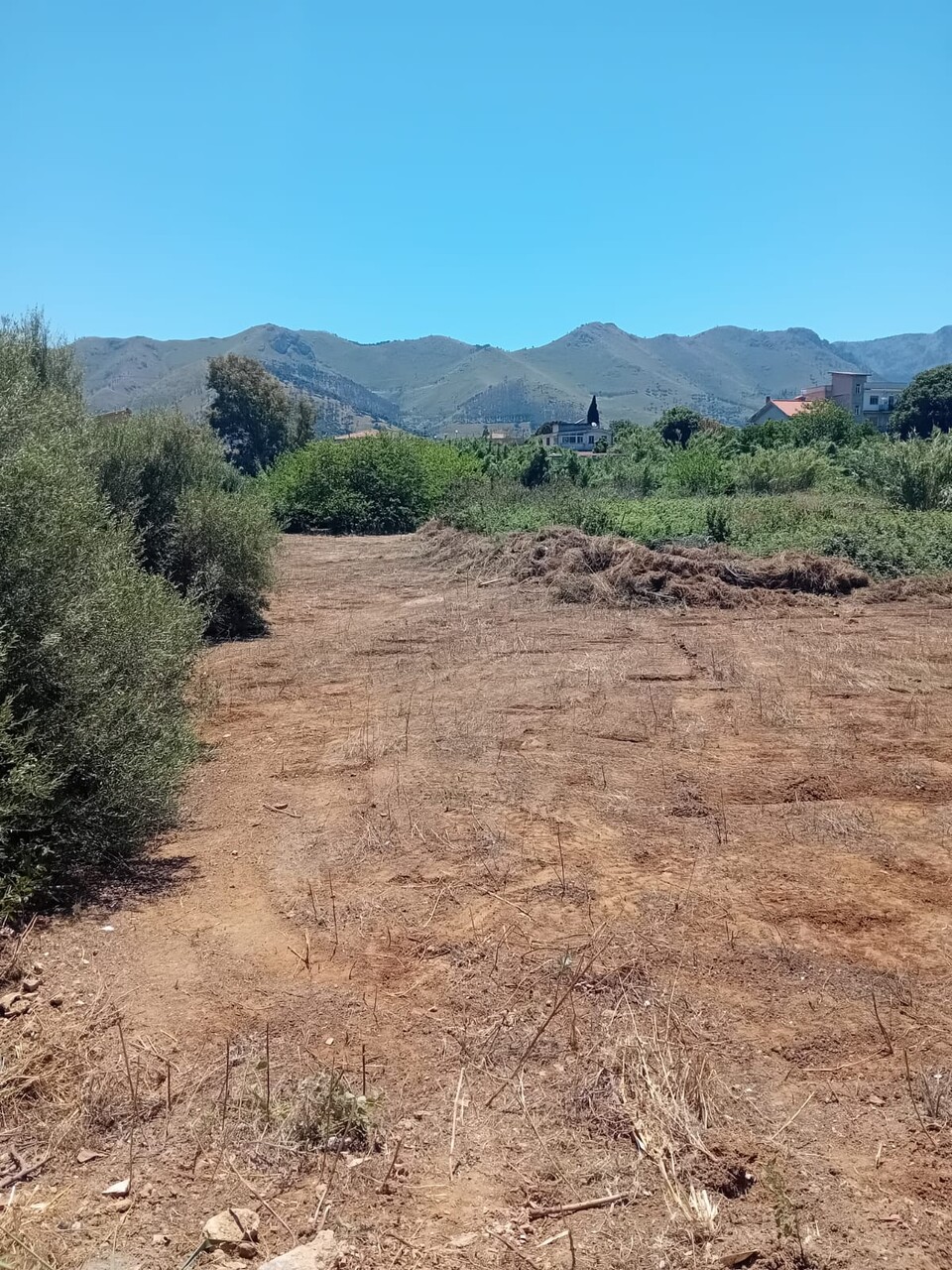 Terreno Agricolo in Vendita a Palermo pagliarelli