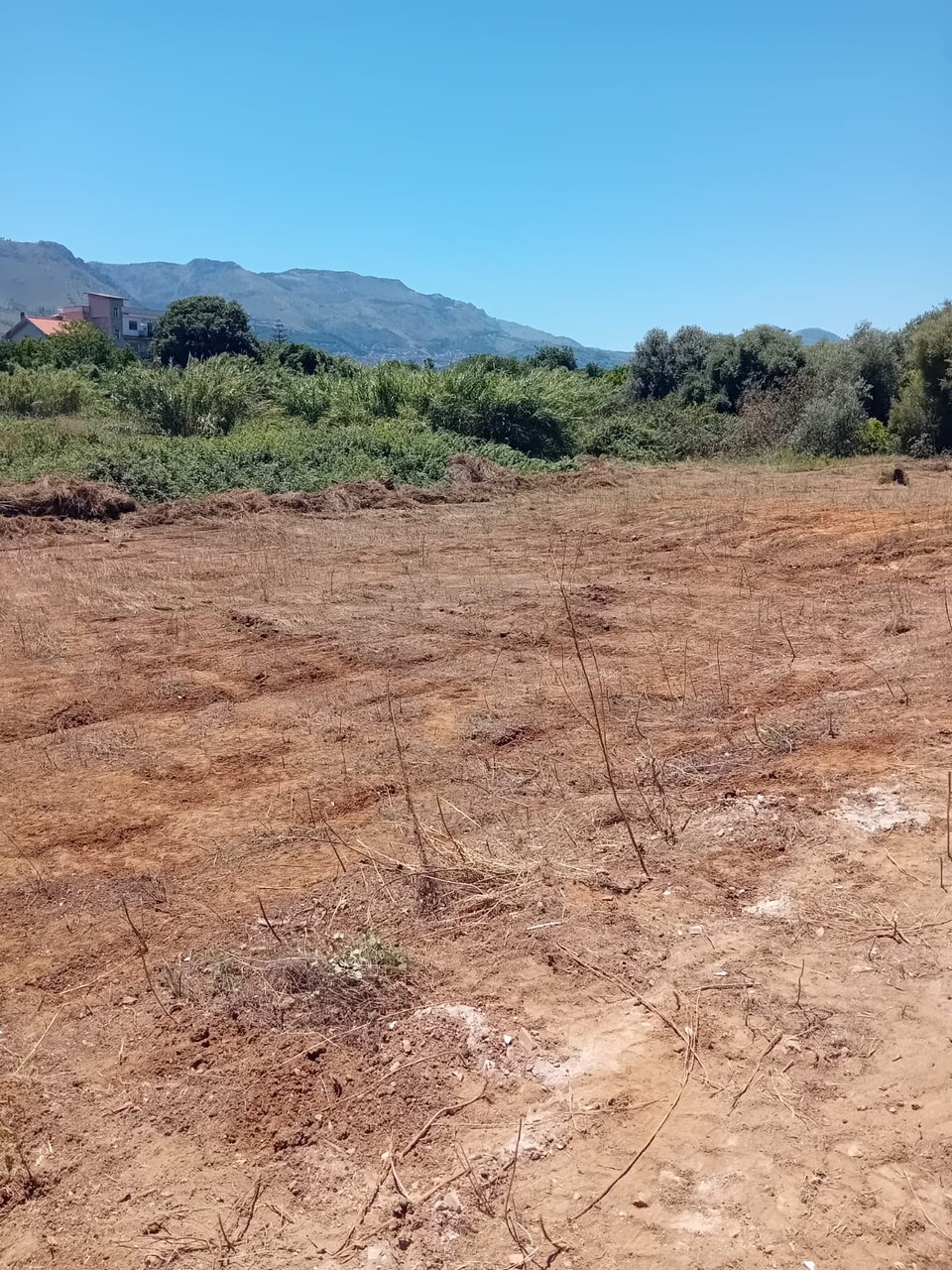 Terreno Agricolo in Vendita a Palermo pagliarelli