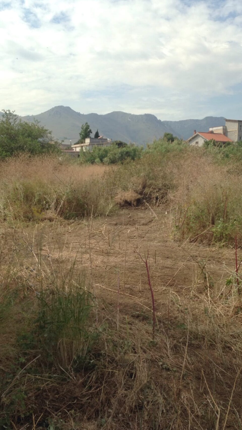 Terreno Agricolo in Vendita a Palermo pagliarelli