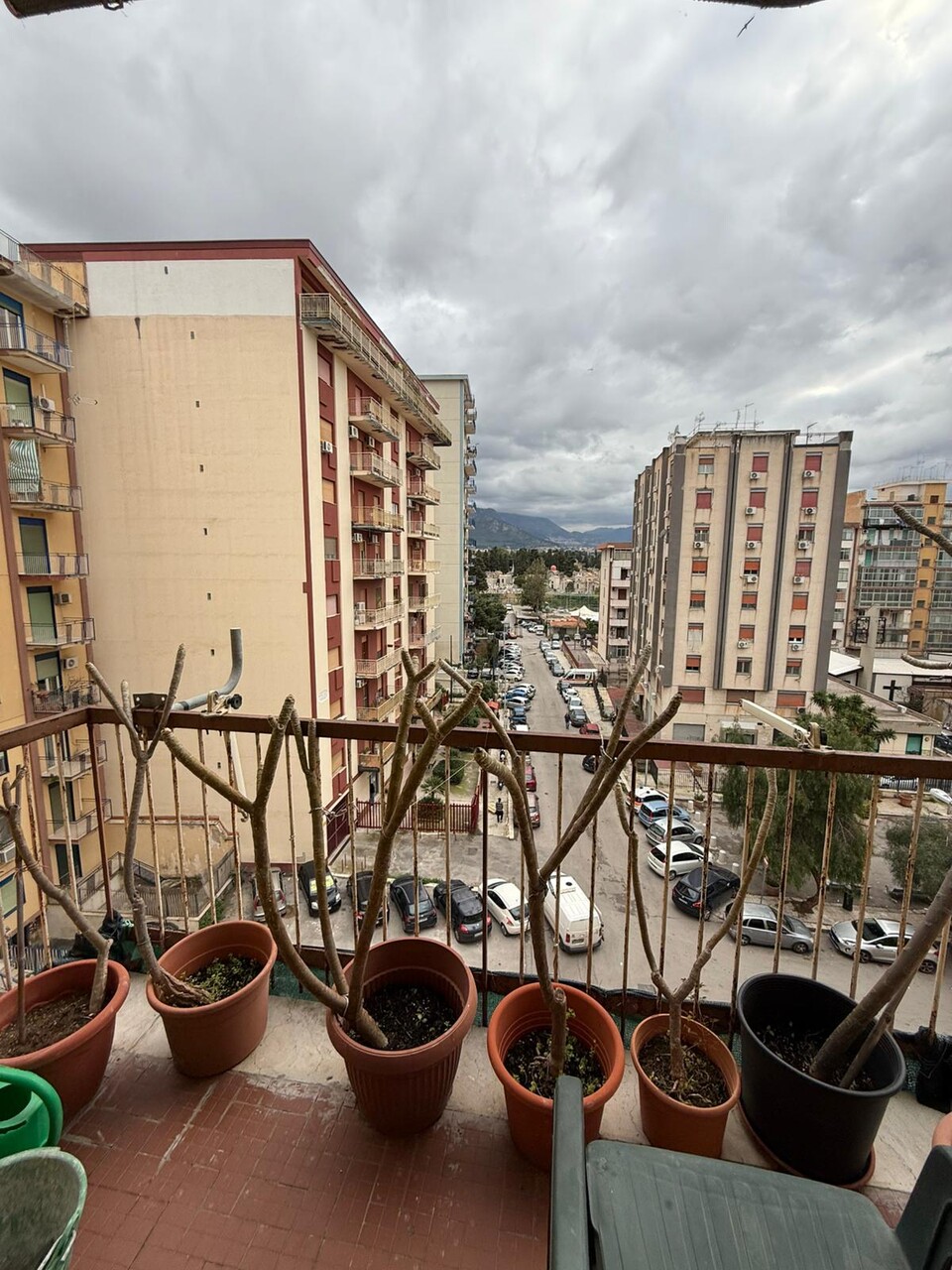 Appartamento in Vendita a Palermo Policlinico