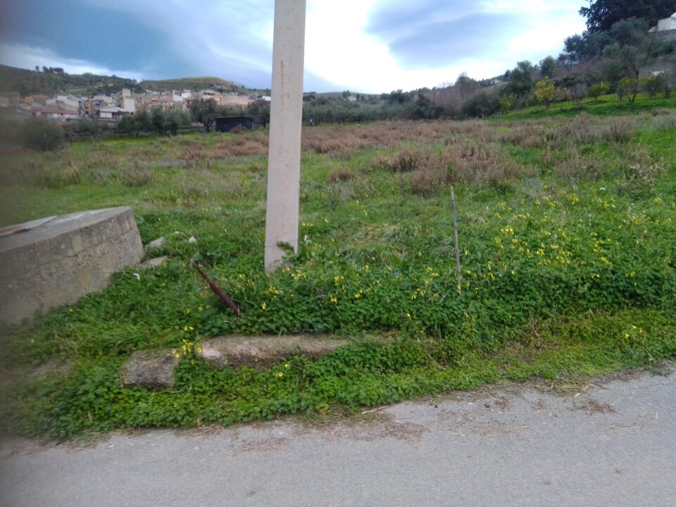 Terreno Agricolo in Vendita a Cerda Contrada Vicino la Terra (Palermo)