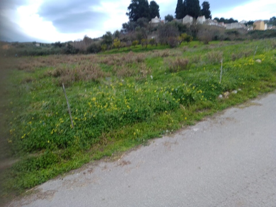 Terreno Agricolo in Vendita a Cerda Contrada Vicino la Terra (Palermo)