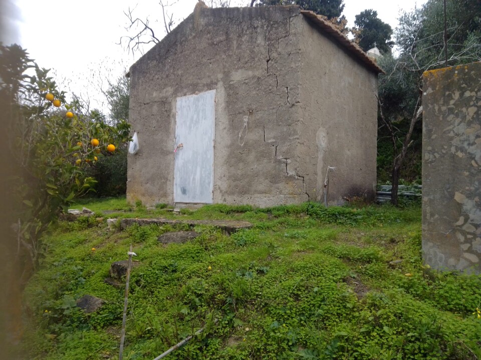 Terreno Agricolo in Vendita a Cerda Contrada Vicino la Terra (Palermo)