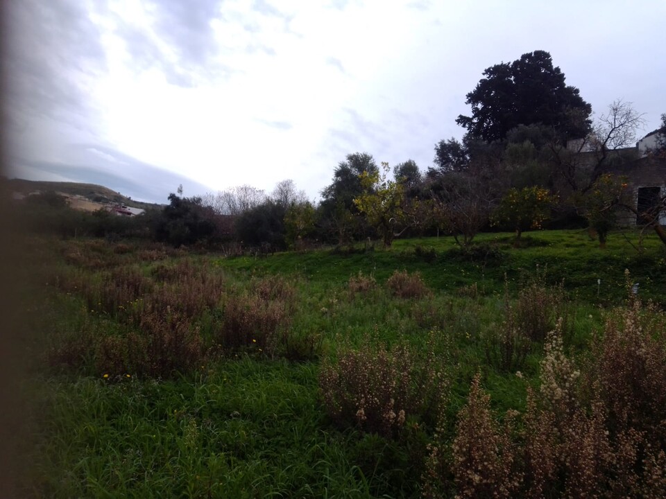 Terreno Agricolo in Vendita a Cerda Contrada Vicino la Terra (Palermo)