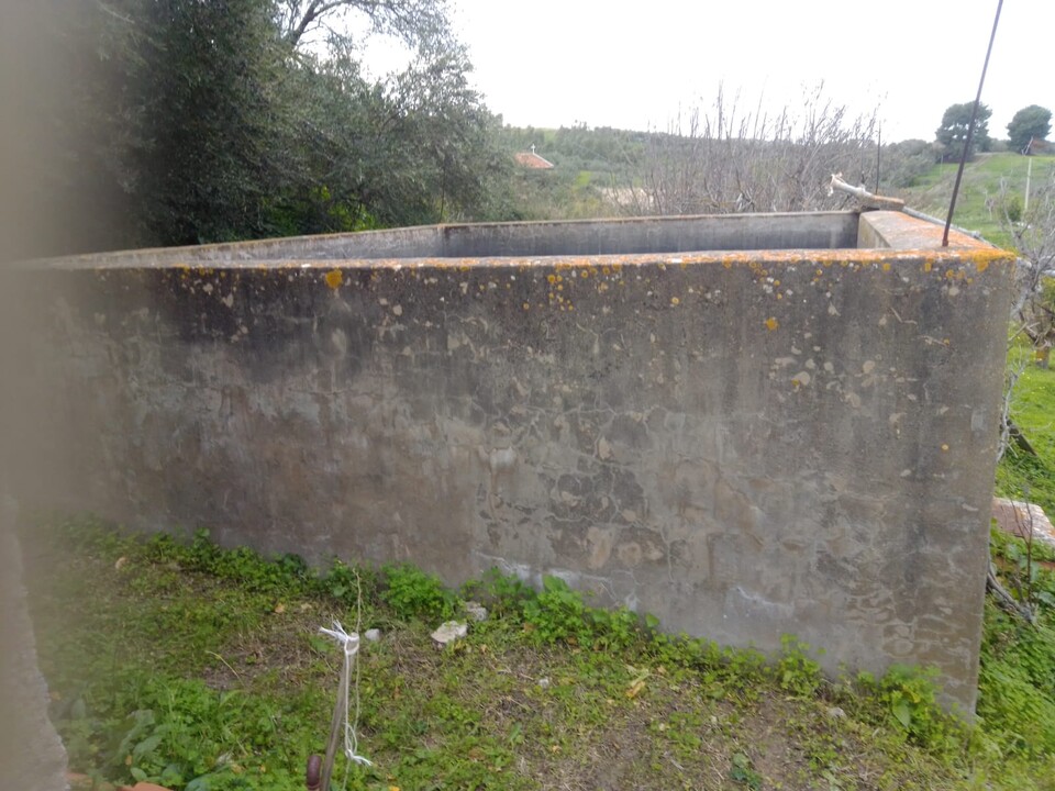 Terreno Agricolo in Vendita a Cerda Contrada Vicino la Terra (Palermo)
