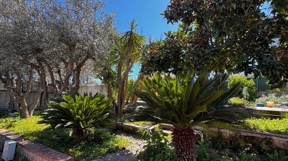 Villa bifamiliare in Vendita in provincia di Palermo