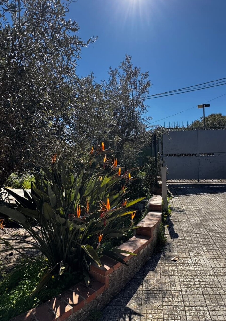 Villa bifamiliare in Vendita in provincia di Palermo