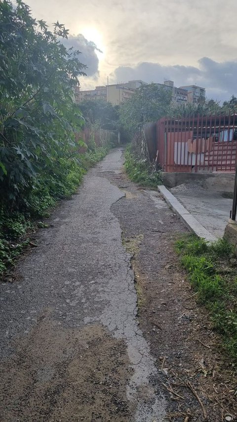 Terreno Non edificabile in Affitto a Palermo