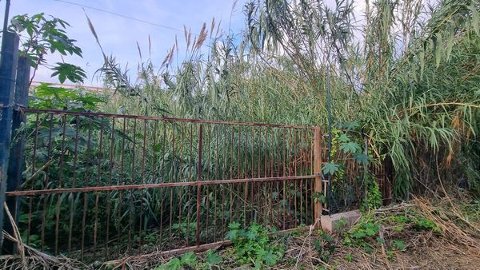 Terreno Non edificabile in Affitto a Palermo calatafimi